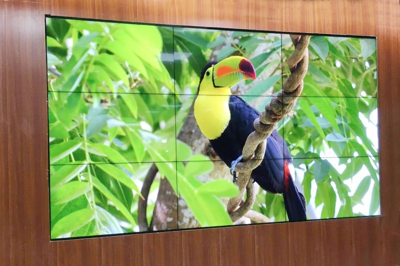 Màn hình LCD ghép