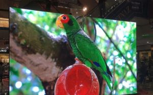 sửa màn hình LED bị nhấp nháy